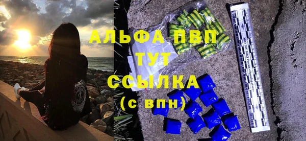 шишки Фёдоровский