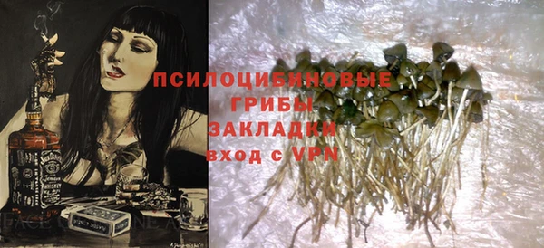 шишки Красноперекопск