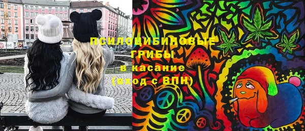 шишки Красноперекопск